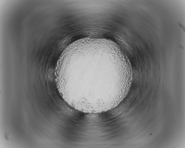 X0000097770189200803281648