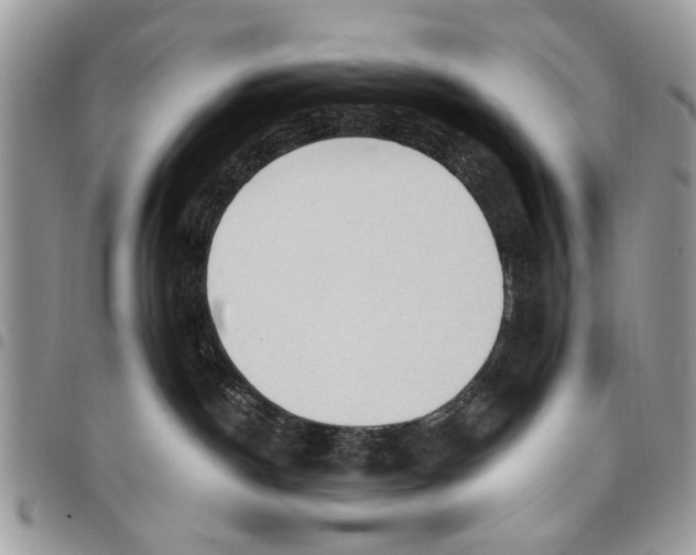 X0000097770190200803281648