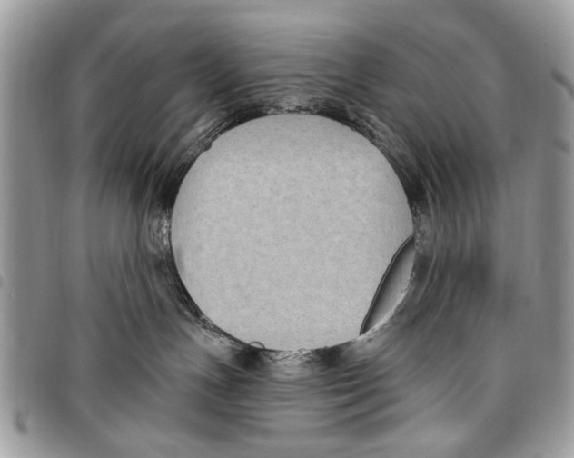 X0000097770191200803281648