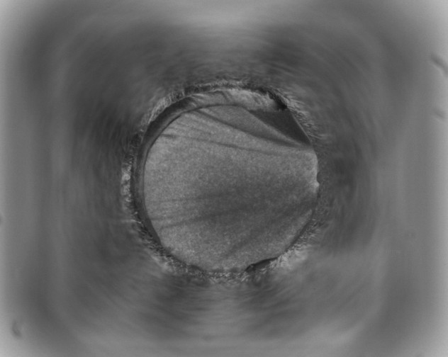 X0000097770192200803281648