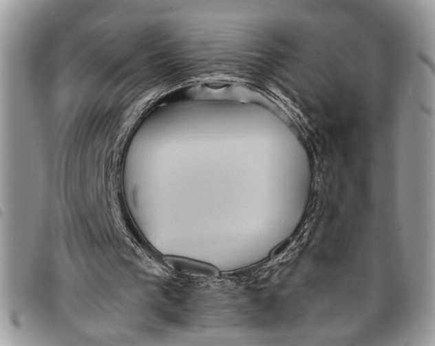 X0000097770193200803281647