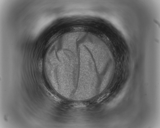 X0000097770194200803281647