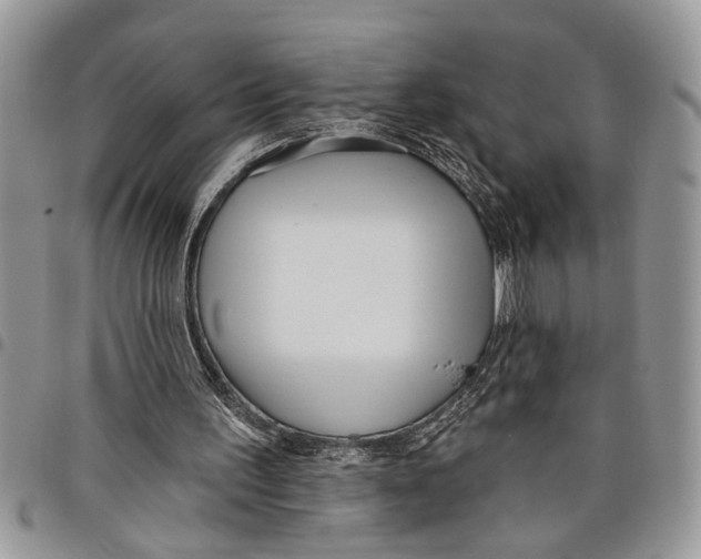 X0000097770195200803281647