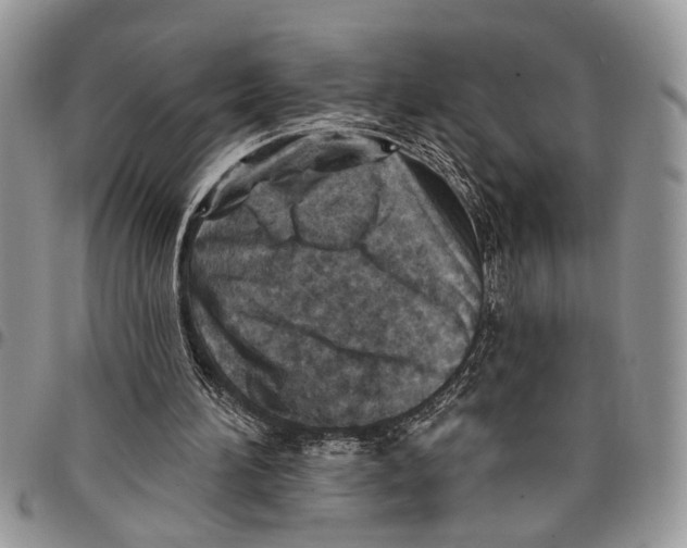 X0000097770196200803281647