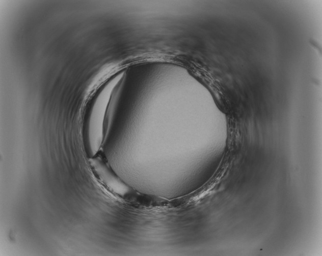 X0000097770197200803281647