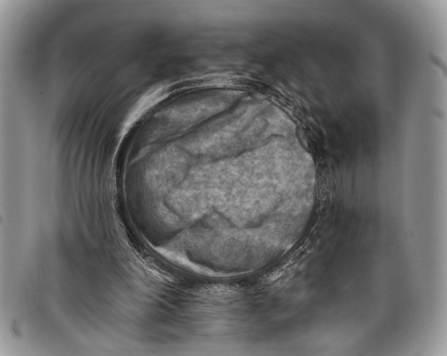 X0000097770198200803281647