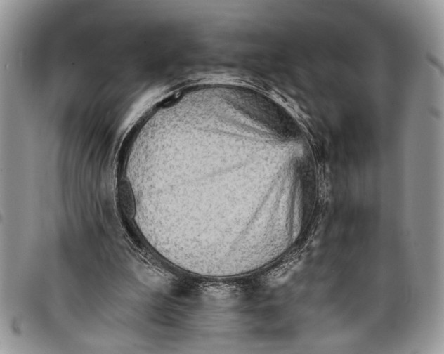 X0000097770199200803281647