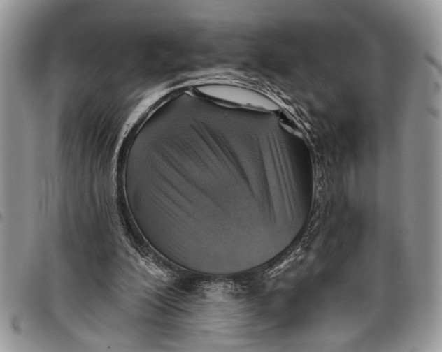 X0000097770200200803281647