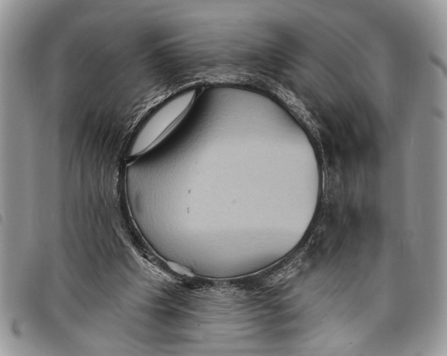 X0000097770201200803281647