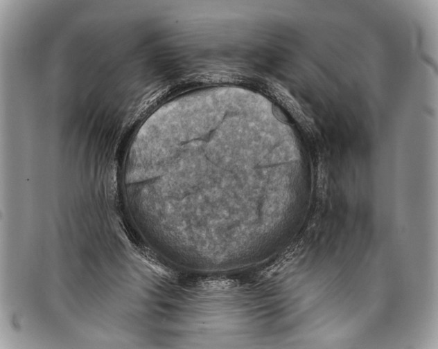 X0000097770202200803281647