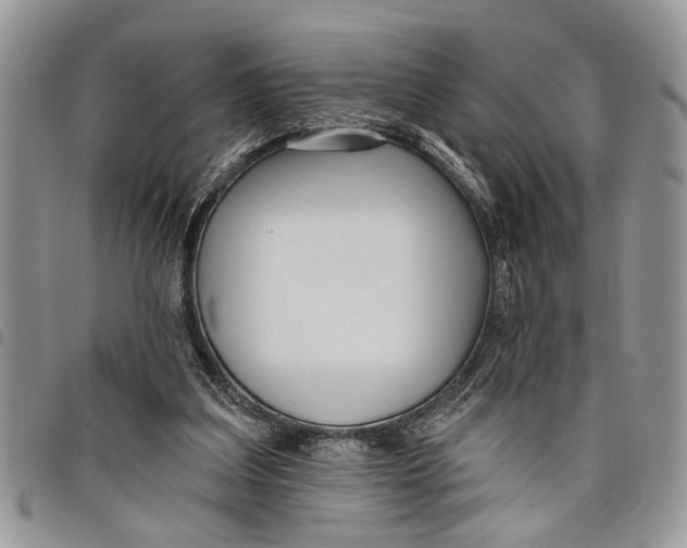 X0000097770203200803281647