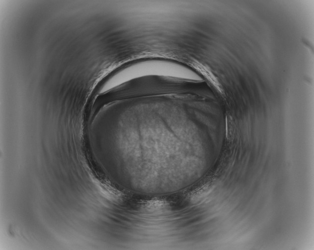 X0000097770204200803281647