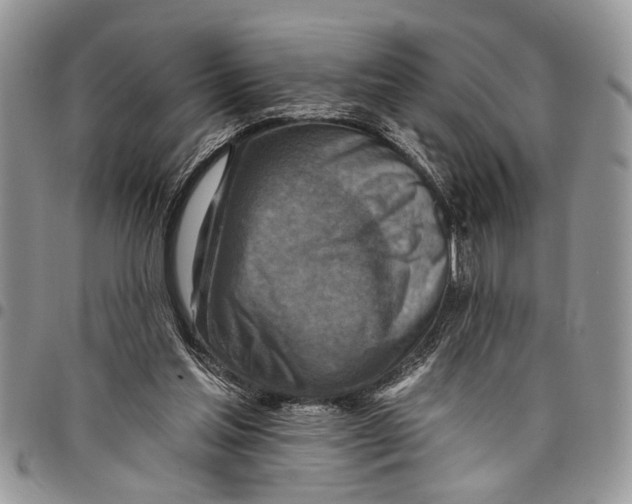 X0000097770205200803281647