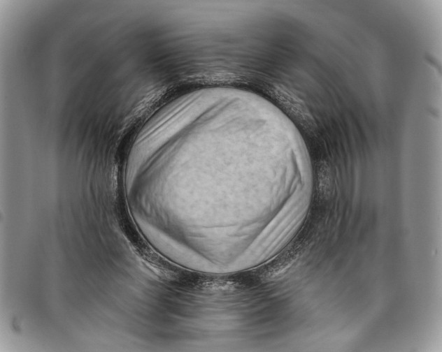 X0000097770206200803281647