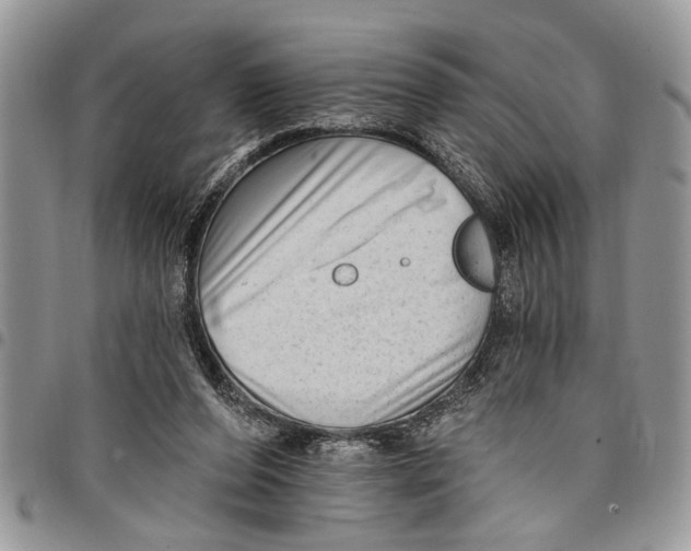 X0000097770208200803281647