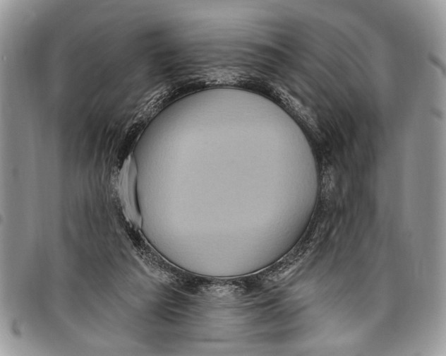 X0000097770209200803281647