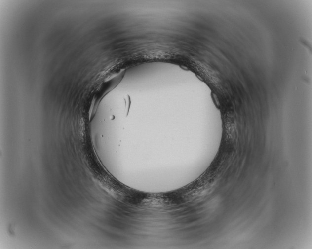 X0000097770211200803281647