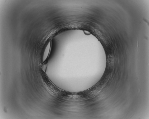 X0000097770212200803281647