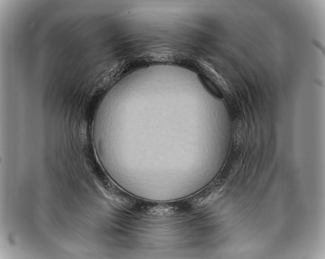 X0000097770213200803281647