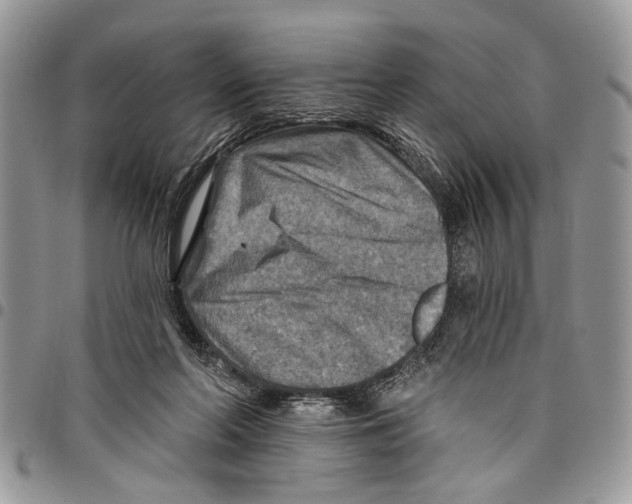 X0000097770214200803281647