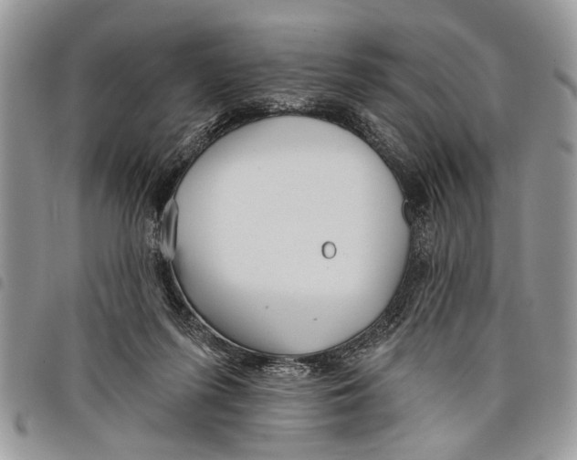 X0000097770215200803281647