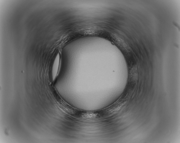 X0000097770217200803281647