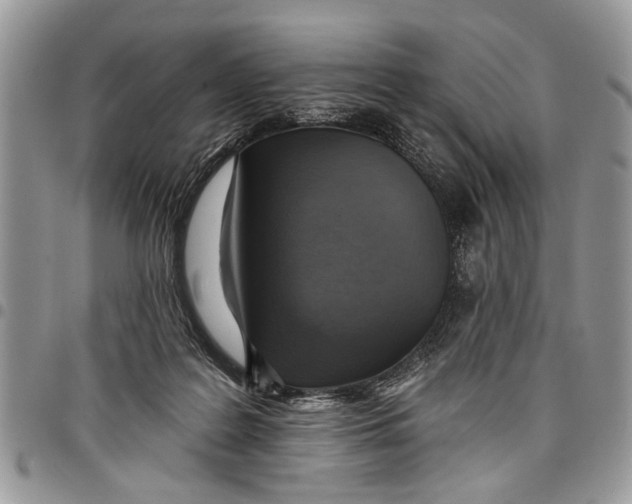 X0000097770219200803281647