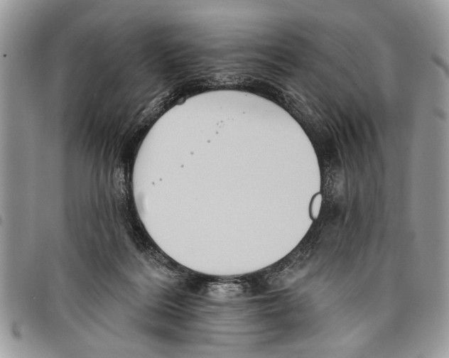 X0000097770220200803281647