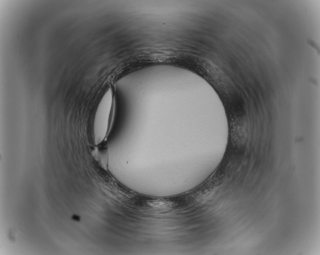 X0000097770221200803281647