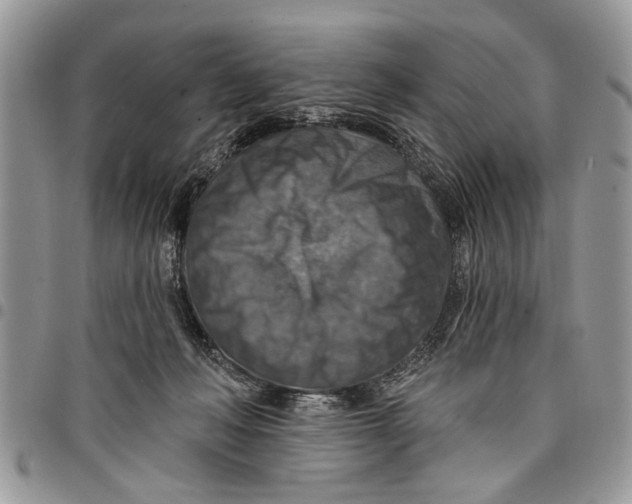 X0000097770222200803281647