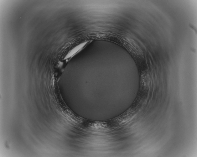 X0000097770223200803281647