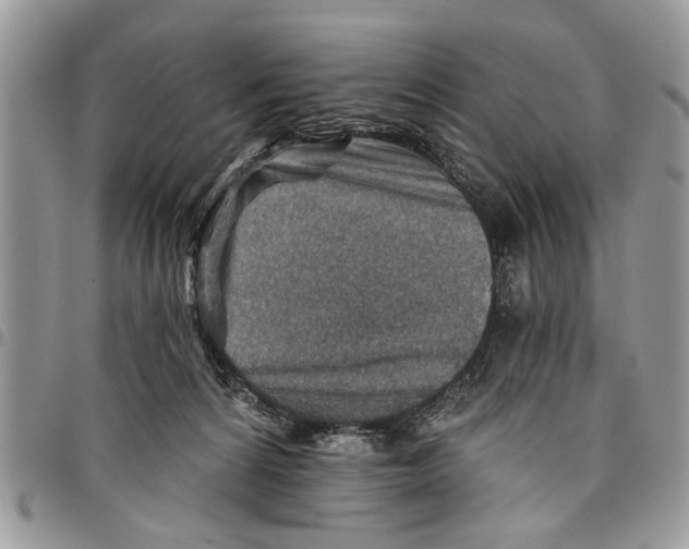 X0000097770224200803281647