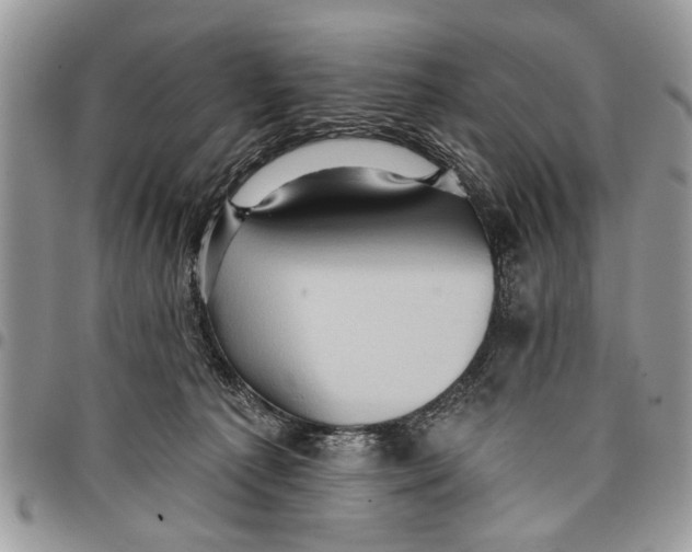 X0000097770225200803281647