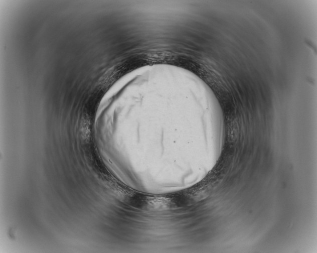 X0000097770226200803281647