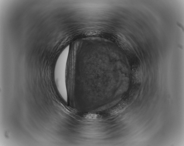 X0000097770227200803281647