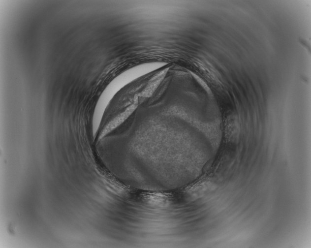 X0000097770229200803281647