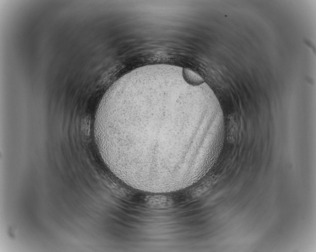 X0000097770230200803281647