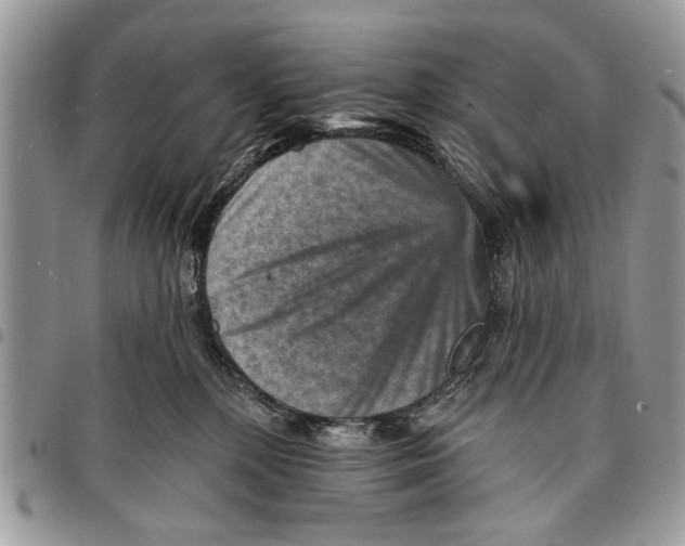 X0000097770232200803281647