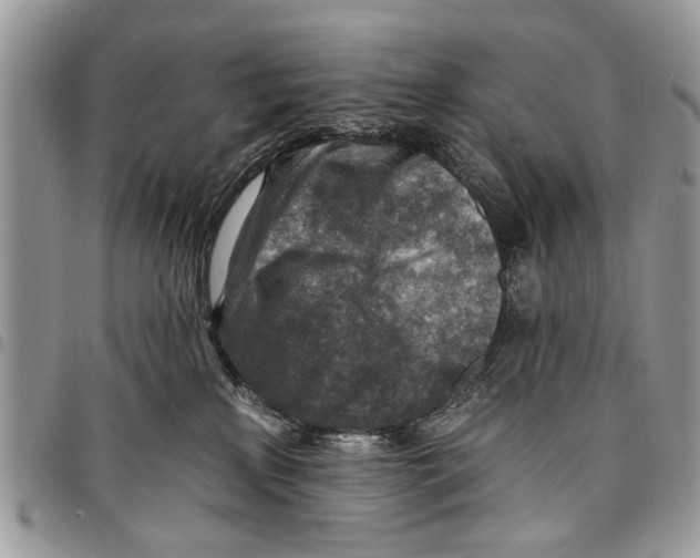 X0000097770233200803281647