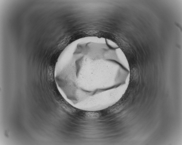 X0000097770234200803281646