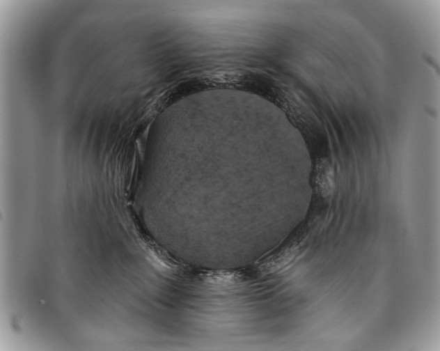 X0000097770235200803281646