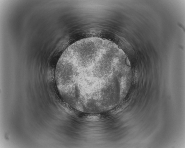 X0000097770236200803281646