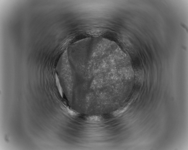 X0000097770237200803281646