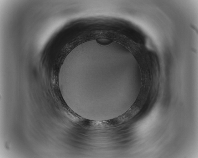 X0000097770239200803281646