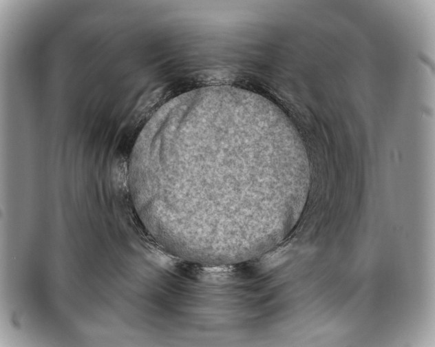 X0000097770240200803281646