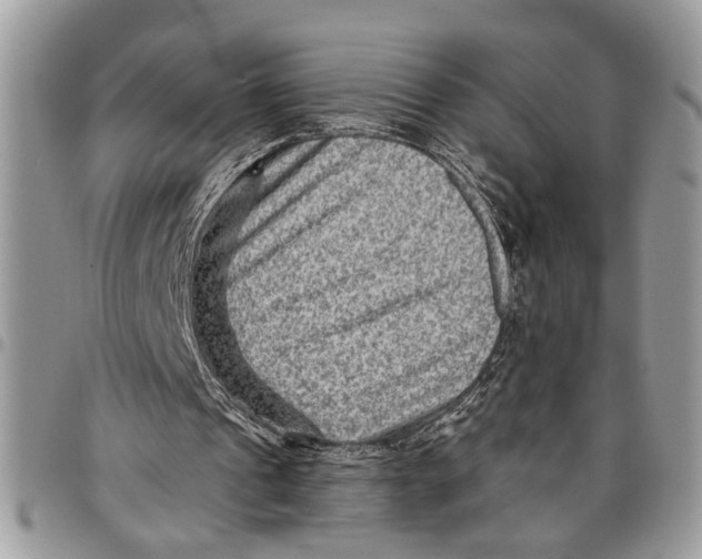 X0000097770241200803281646