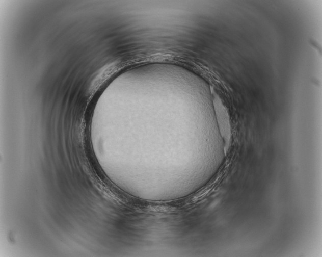 X0000097770242200803281646