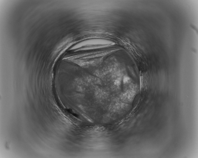 X0000097770243200803281646