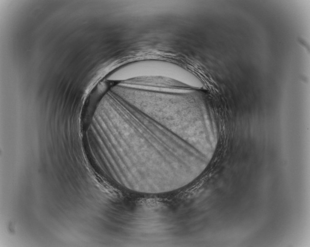 X0000097770244200803281646