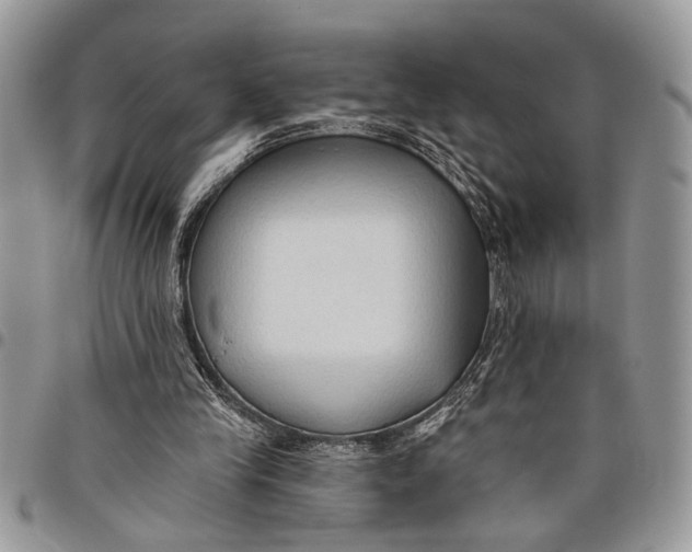 X0000097770245200803281646